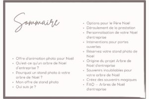 Arbre de Noël d'entreprise à Chartres Arbre de Noël d'entreprise à Chartres 