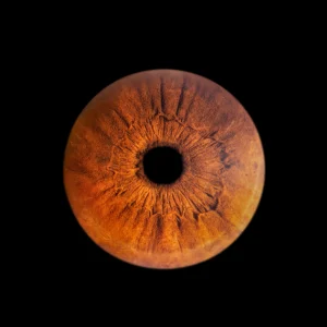 iris galerie chartre photos iris chartres